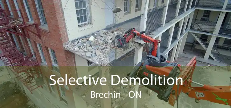 Selective Demolition Brechin - ON