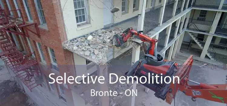 Selective Demolition Bronte - ON