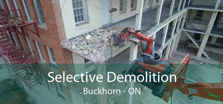 Selective Demolition Buckhorn - ON