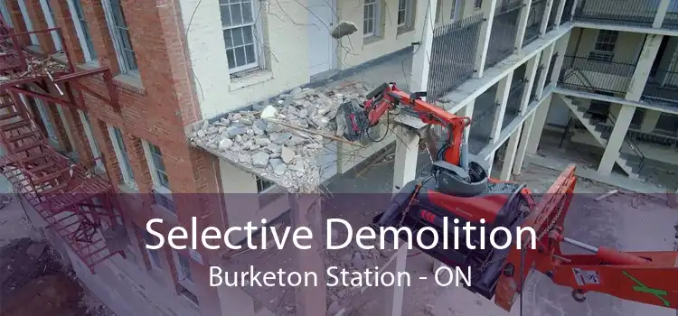 Selective Demolition Burketon Station - ON