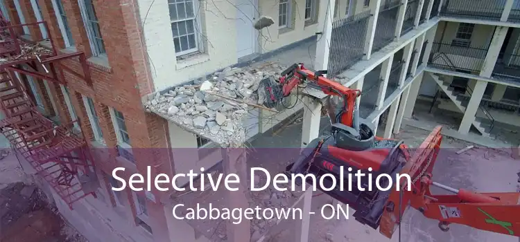 Selective Demolition Cabbagetown - ON