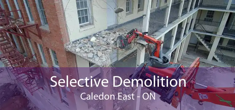 Selective Demolition Caledon East - ON
