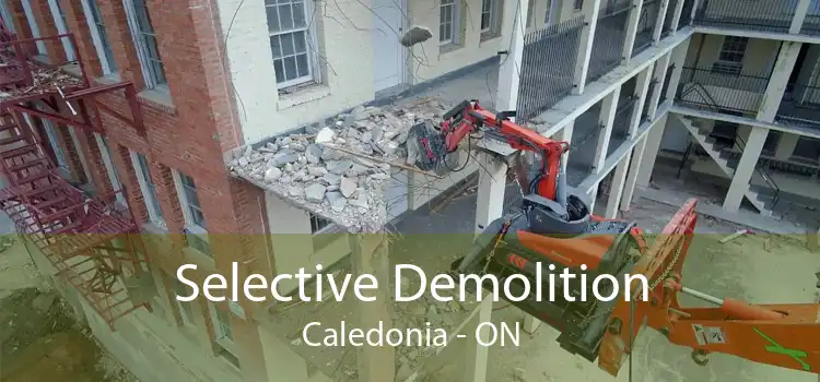Selective Demolition Caledonia - ON