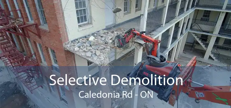 Selective Demolition Caledonia Rd - ON