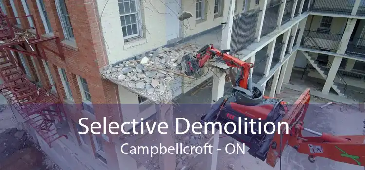 Selective Demolition Campbellcroft - ON