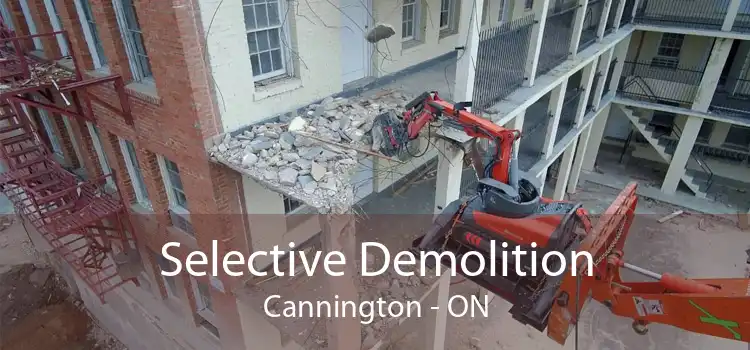 Selective Demolition Cannington - ON