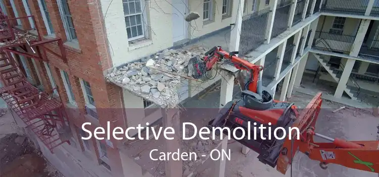 Selective Demolition Carden - ON