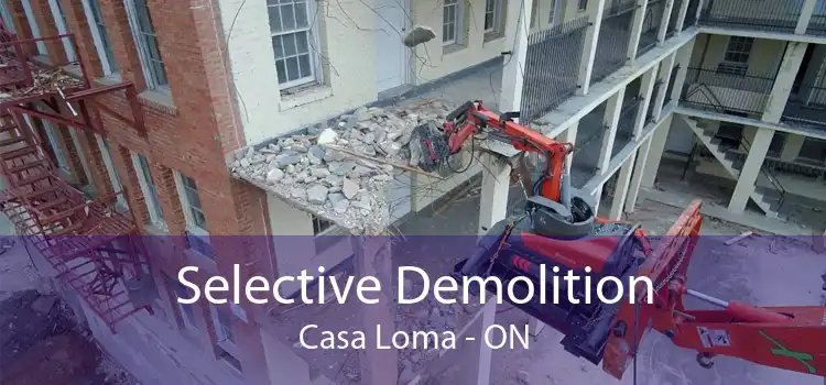 Selective Demolition Casa Loma - ON