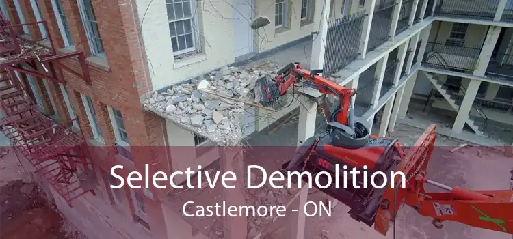 Selective Demolition Castlemore - ON