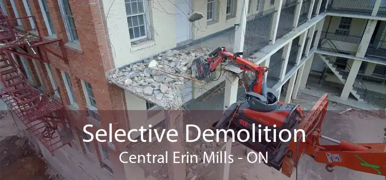 Selective Demolition Central Erin Mills - ON