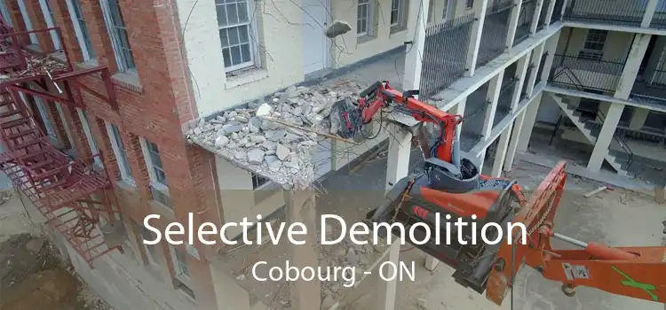 Selective Demolition Cobourg - ON