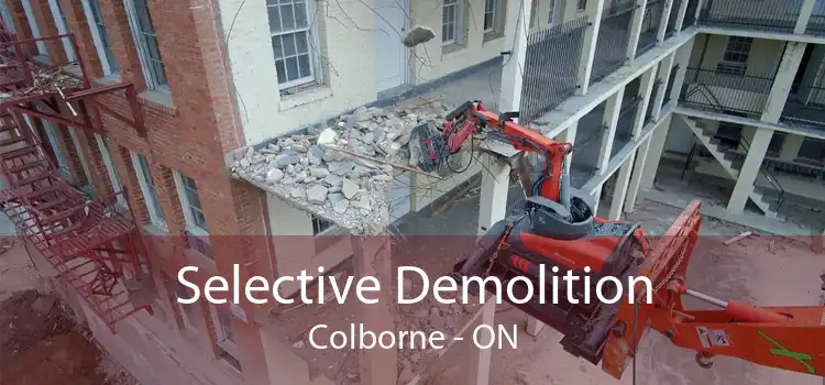 Selective Demolition Colborne - ON
