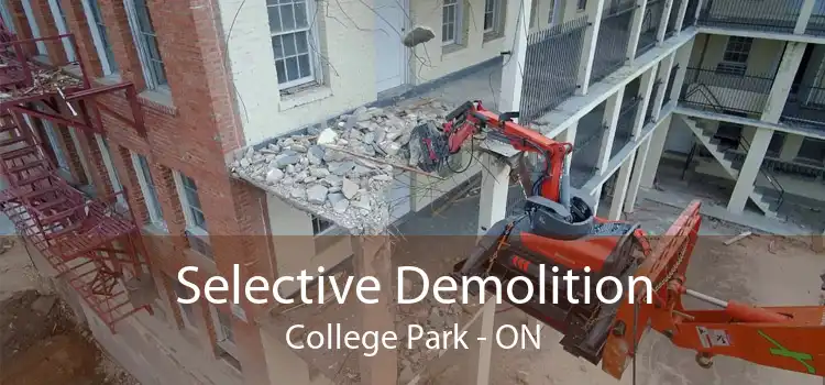 Selective Demolition College Park - ON