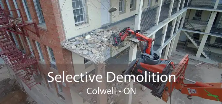 Selective Demolition Colwell - ON