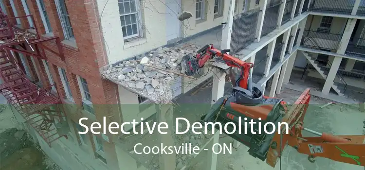Selective Demolition Cooksville - ON