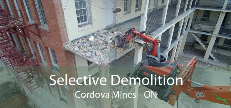Selective Demolition Cordova Mines - ON