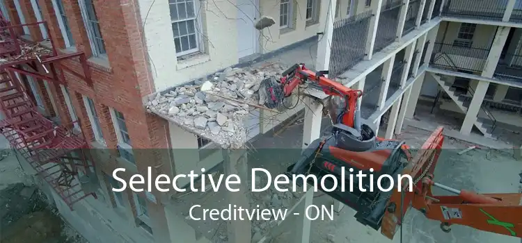 Selective Demolition Creditview - ON