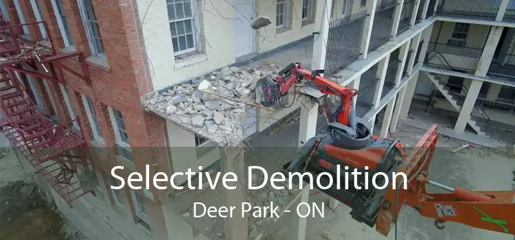 Selective Demolition Deer Park - ON