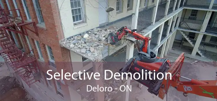 Selective Demolition Deloro - ON