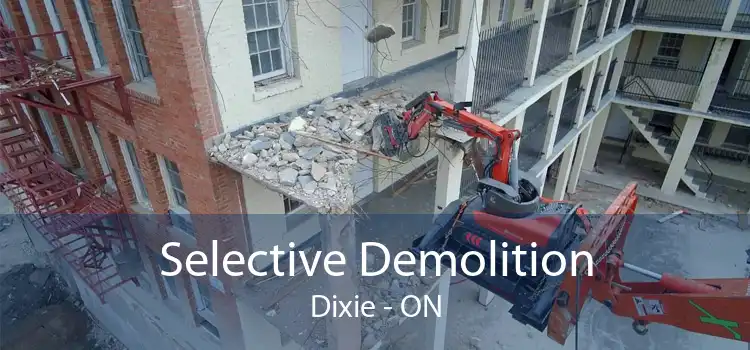 Selective Demolition Dixie - ON