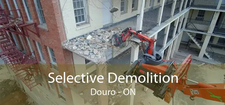 Selective Demolition Douro - ON
