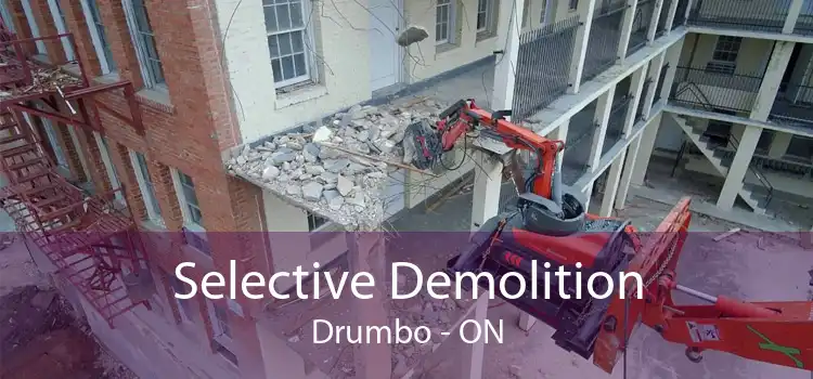 Selective Demolition Drumbo - ON