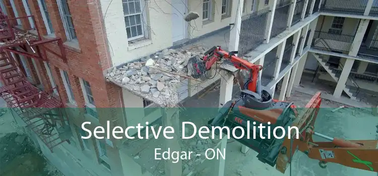 Selective Demolition Edgar - ON
