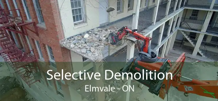Selective Demolition Elmvale - ON