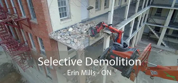 Selective Demolition Erin Mills - ON