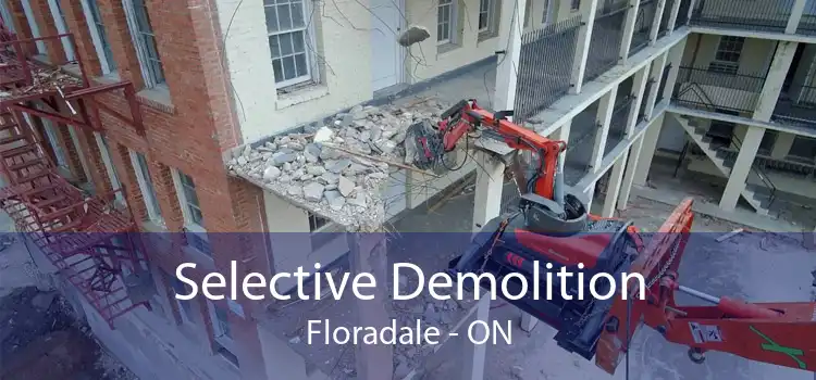 Selective Demolition Floradale - ON