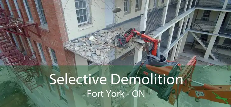 Selective Demolition Fort York - ON