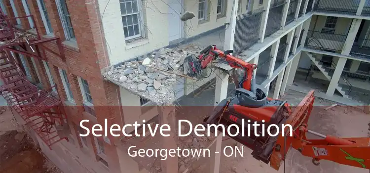 Selective Demolition Georgetown - ON