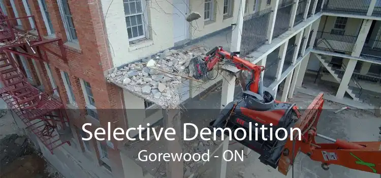 Selective Demolition Gorewood - ON