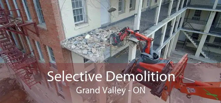 Selective Demolition Grand Valley - ON