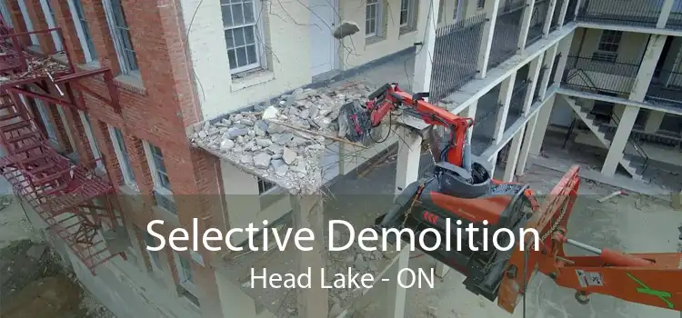 Selective Demolition Head Lake - ON
