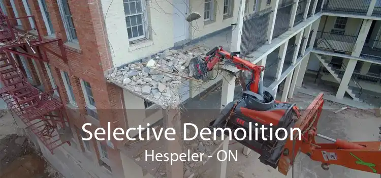 Selective Demolition Hespeler - ON