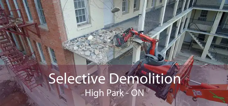Selective Demolition High Park - ON