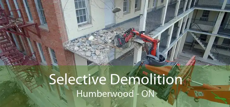 Selective Demolition Humberwood - ON
