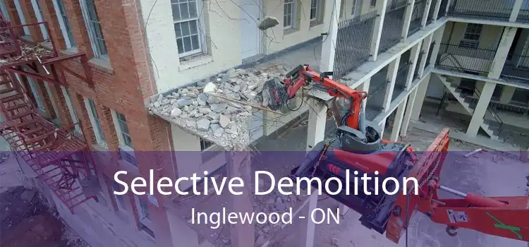 Selective Demolition Inglewood - ON