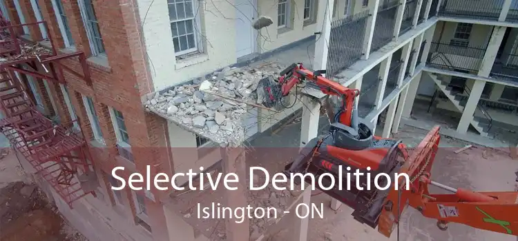 Selective Demolition Islington - ON