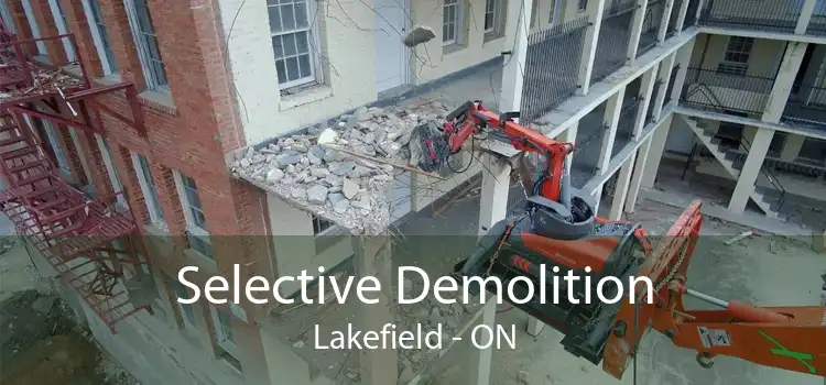 Selective Demolition Lakefield - ON