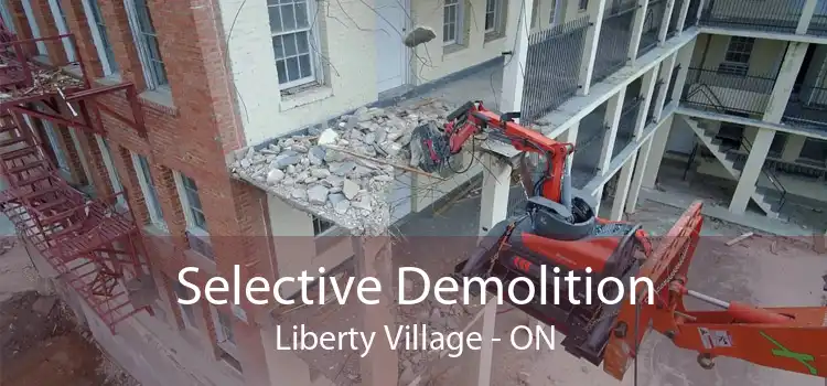 Selective Demolition Liberty Village - ON