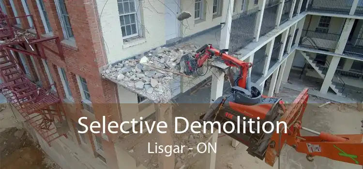 Selective Demolition Lisgar - ON
