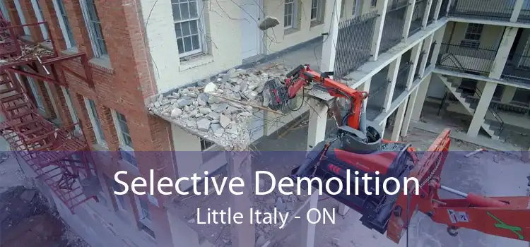 Selective Demolition Little Italy - ON