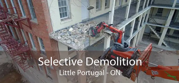Selective Demolition Little Portugal - ON