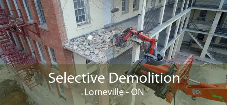 Selective Demolition Lorneville - ON