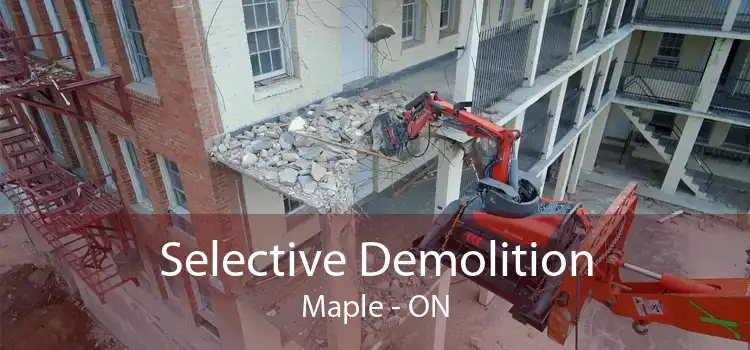 Selective Demolition Maple - ON