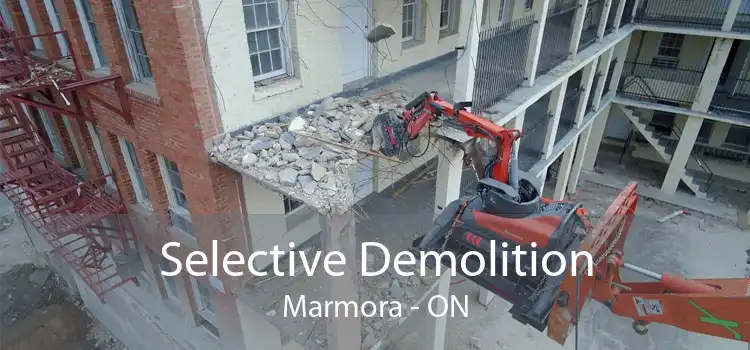 Selective Demolition Marmora - ON