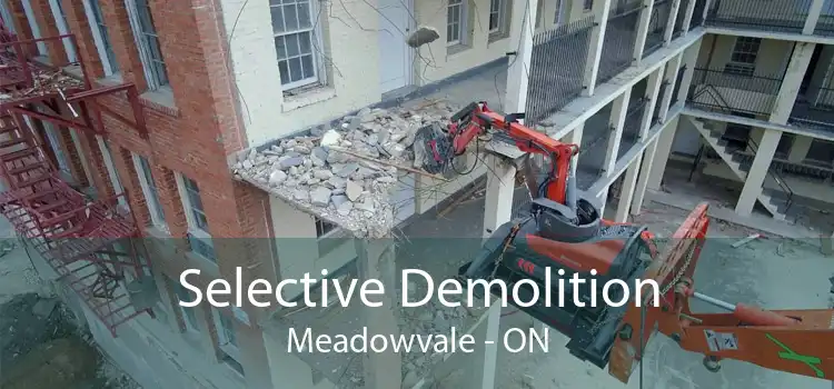Selective Demolition Meadowvale - ON