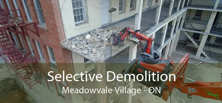 Selective Demolition Meadowvale Village - ON
